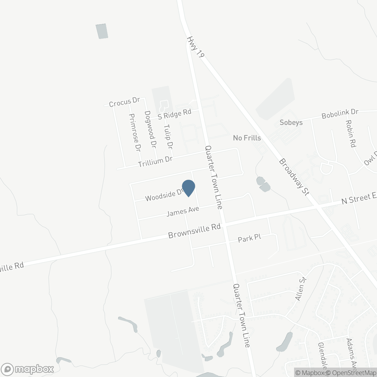 29 WOODSIDE DRIVE, Tillsonburg, Ontario N4G 5P9